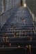 stairways_to_heaven_1