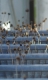 stairways_to_heaven_3