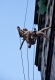Icarus¨thoughts (after the fall), photo by Jan Vesala_3